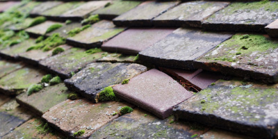 Knapwell roof repair costs